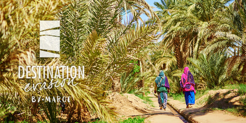 Destination Evasion Agence Voyage Specialiste Maroc