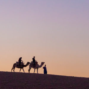 Sunset camel ride Terre des Etoiles