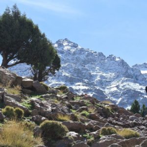 Ascension express du Toubkal Maroc