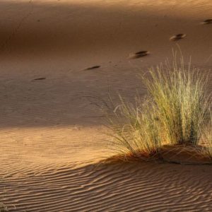 Aventure Saharienne Maroc