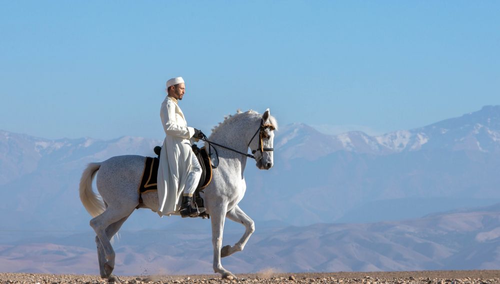 Chevauchée et nuit dans le désert d'Agafay