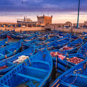 City Trek Essaouira