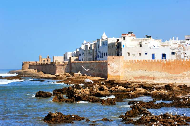 City Trek Essaouira