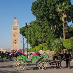 City Trek Marrakech