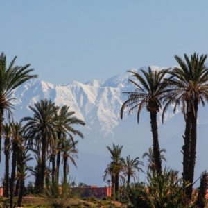 Découverte de Marrakech en side car