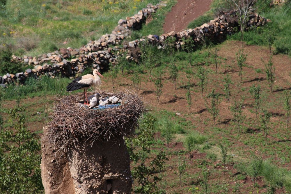 decouverte-des-vallees-du-sud-chagaga-13