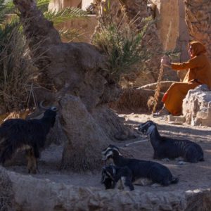 Découverte des vallées du Sud Chegaga Maroc