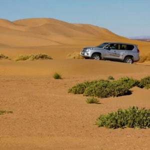 Découverte des vallées du Sud Chegaga Maroc