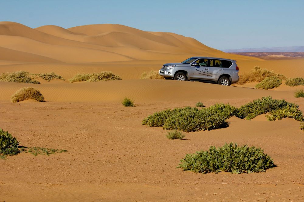 Découverte des vallées du Sud Chegaga Maroc