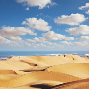 Des merveilles de l'Atlas jusqu'à la côte Atlantique