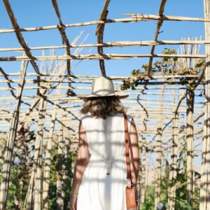 Désert d'Agafay et campagne d'Essaouira