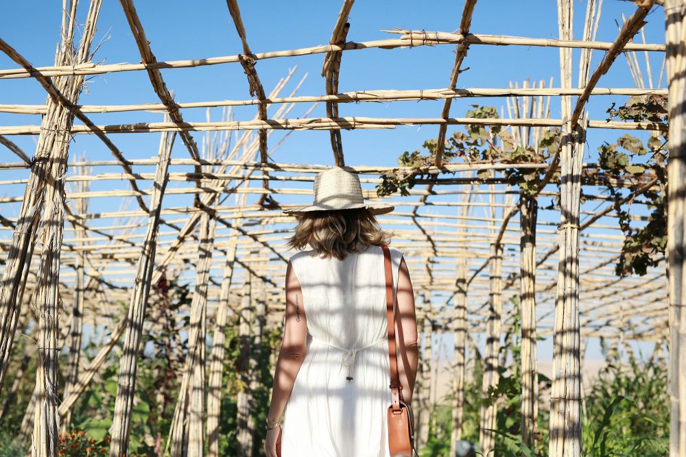 Désert d'Agafay et campagne d'Essaouira