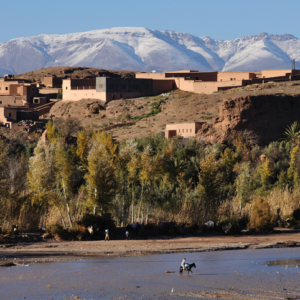 Désert d'Agafay et campagne d'Essaouira