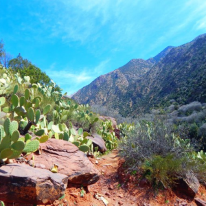 Désert d'Agafay et campagne d'Essaouira