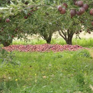 Immersion berbère dans les Ait Bougmez Haut Atlas Maroc
