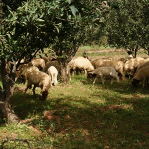 Immersion berbère dans les Ait Bougmez Haut Atlas Maroc