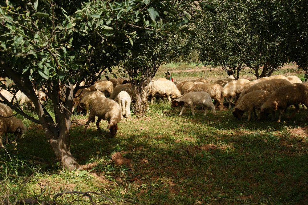 Immersion berbère dans les Ait Bougmez Haut Atlas Maroc