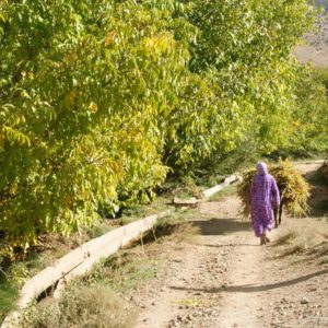 Immersion berbère dans les Ait Bougmez Haut Atlas Maroc