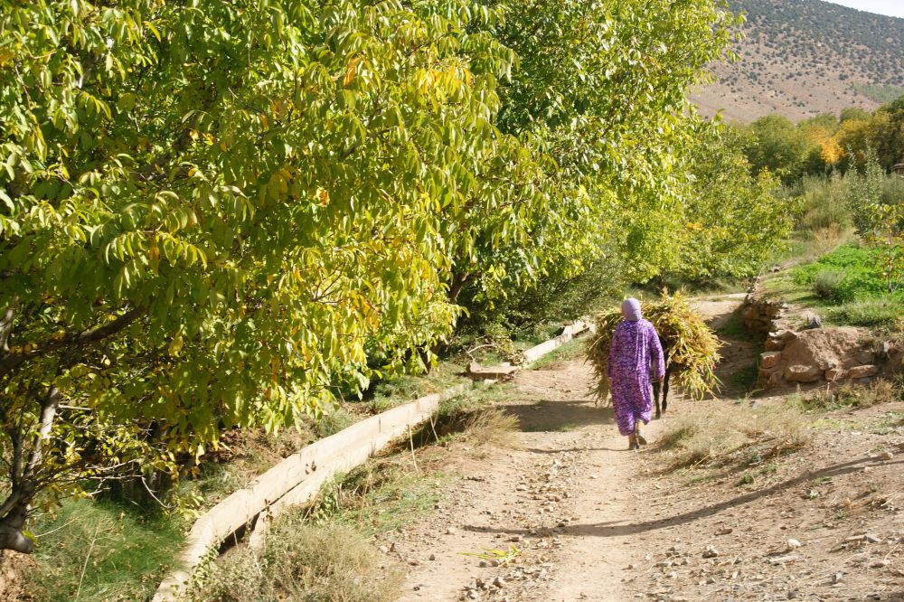 Immersion berbère dans les Ait Bougmez Haut Atlas Maroc