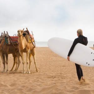 Journée Surf dans les vagues de l'Atlantique