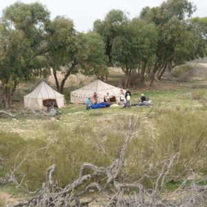 Mini rando atlantique au sud d'Essaouira