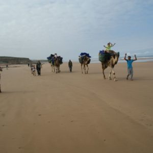 Mini rando atlantique au sud d'Essaouira