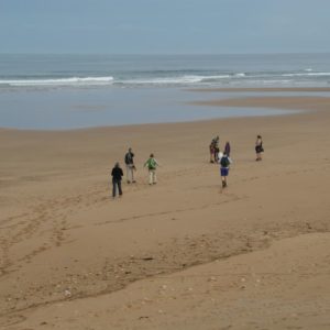 Mini rando atlantique au sud d'Essaouira
