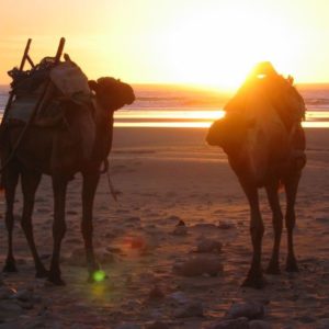 Mini rando atlantique au sud d'Essaouira