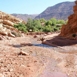 Mini trek dans la vallée de l'Ounila Maroc