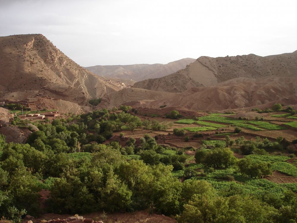 Mini trek dans la vallée de l'Ounila Maroc