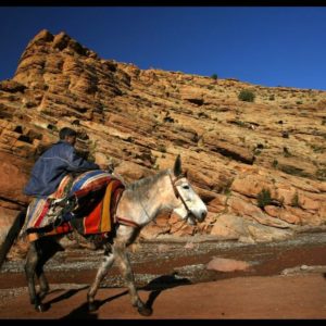 Mini trek dans la vallée de l'Ounila Maroc
