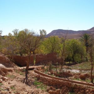Mini trek dans la vallée de l'Ounila Maroc