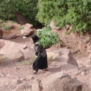 Mini trek dans la vallée de l'Ounila Maroc
