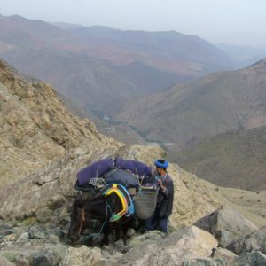 Mini Trek dans les gorges de l'oued Zat
