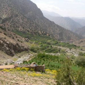 Mini Trek dans les gorges de l'oued Zat