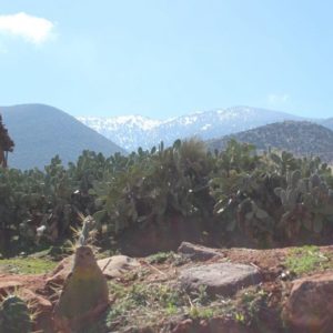 Mini trek dans les vallées du Toubkal