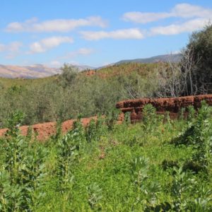 Mini trek dans les vallées du Toubkal