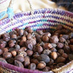 Rando Atlantique au Sud d'Essaouira Maroc