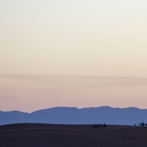 Rando Chamelière dans la vallée du Draa