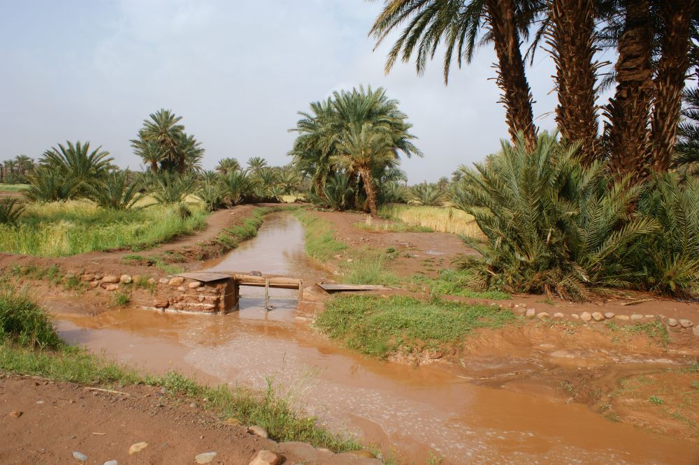 Rando Chamelière dans la vallée du Draa