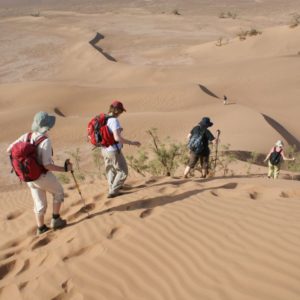 Rando Chamelière dans la vallée du Draa