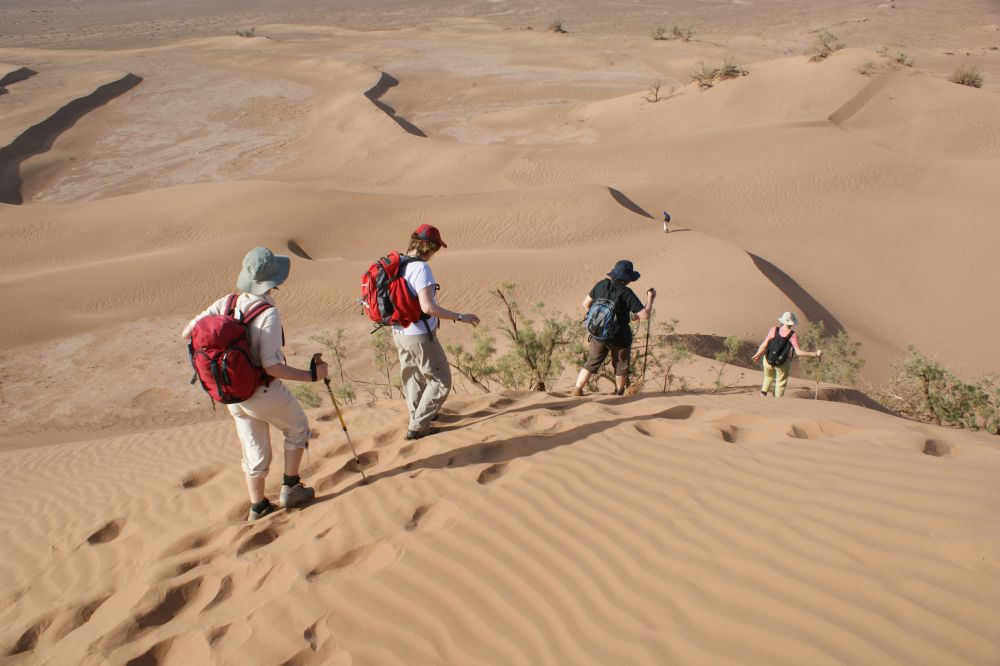 Rando Chamelière dans la vallée du Draa