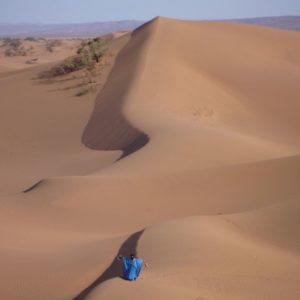 Rando Chamelière dans la vallée du Draa