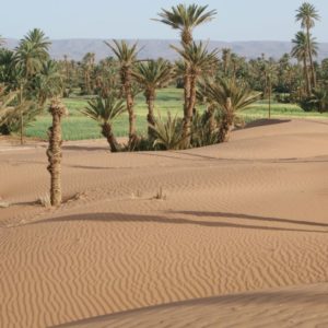 Rando Chamelière dans la vallée du Draa