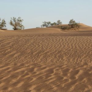 Rando Chamelière dans la vallée du Draa