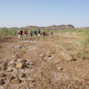 Rando Chamelière dans la vallée du Draa