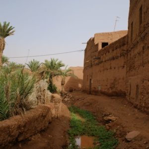Rando Chamelière dans la vallée du Draa
