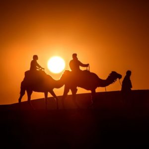 Rando chamelière dans les dunes du Sahara