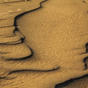 Rando chamelière dans les dunes du Sahara
