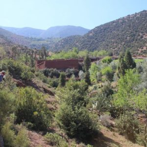 Randonnee haut atlas maroc destination evasion